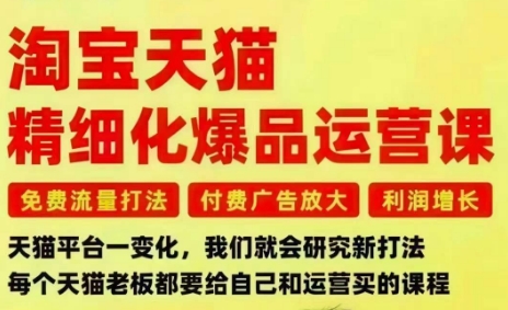 淘宝天猫精细化爆品运营课，免费流量打法-付费广告放大-利润增长-三大核心痛点，一次全部解决-课程网
