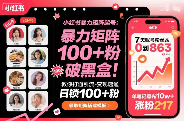 小红书暴力矩阵起号，教你打通引流-变现速通，日锁100+粉，破流量黑盒-课程网