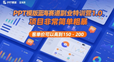 PPT模版蓝海赛道副业特训营1.0，项目非常简单粗暴，客单价可以高到150-200-课程网