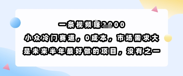 一条视频挣1k，小众冷门赛道，0成本，市场需求大，是未来半年最好做的项目，没有之一-课程网
