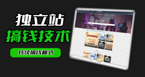 干货来袭！麦子甜带你吃透独立站｜从搭建到引流一站式教学《独立站》第一期-课程网