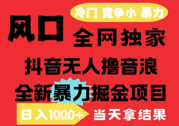 25年6月高爆抖音无人直播最新撸音浪掘金项目，解放双手小白可做，无脑日入1k+，门槛低【揭秘】-课程网