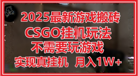 2025最新游戏搬砖，CSGO挂G，不需要玩游戏，实现真挂G，月入1W+【揭秘】-课程网