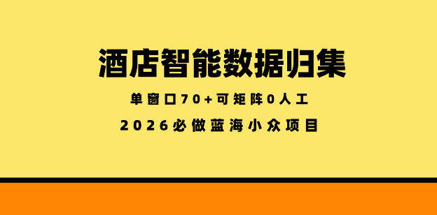 酒店智能数据归集，小众蓝海已经稳定半年之久，单窗口70+零成本矩阵开干【揭秘】-课程网