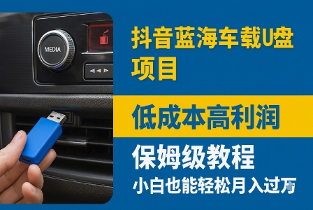 抖音蓝海车载U盘项目，低成本高利润保姆级教程，小白也能轻松月入过W-课程网