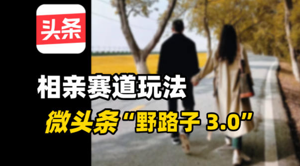 微头条“野路子3.0”相亲赛道玩法，搬砖式操作单号稳定3张-课程网