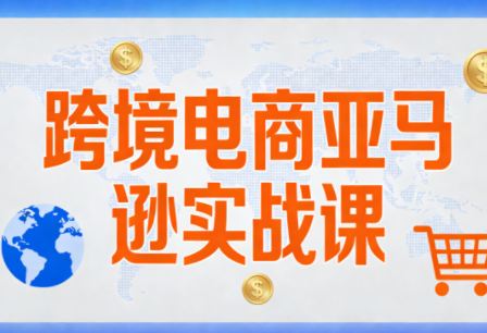 丝丝老师·跨境电商亚马逊实战课(更新2月)-课程网