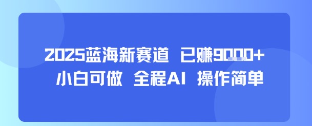 2025蓝海新赛道 已挣9k+ 小白可做 全程AI 操作简单-课程网