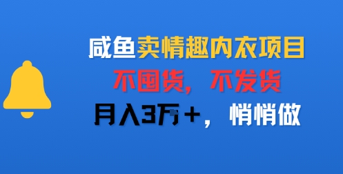 咸鱼卖情趣内衣项目，不囤货，不发货，月入3W+，悄悄做-课程网