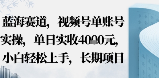 蓝海赛道，视频号单账号实操，单日实收1k，小白轻松上手，长期项目-课程网