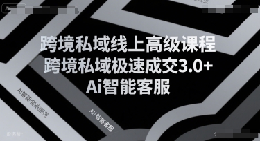 跨境私域线上高级课程，跨境私域极速成交3.0+Ai智能客服-课程网
