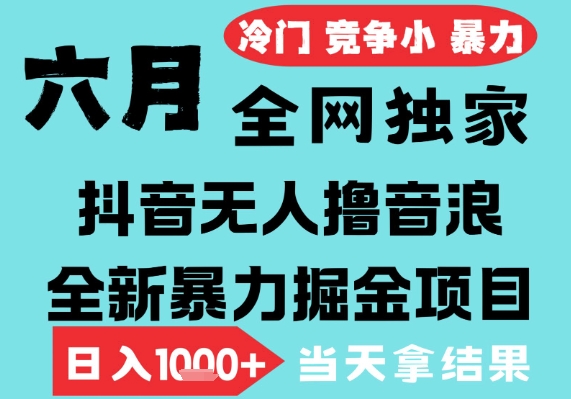 2025年6月高爆抖音无人直播最新撸音浪掘金项目，无脑日入1k+，低门槛小白可做，可矩阵放大【揭秘】-课程网