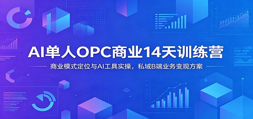 AI单人OPC商业14天训练营：商业模式定位与AI工具实操，私域B端业务变现方案-课程网
