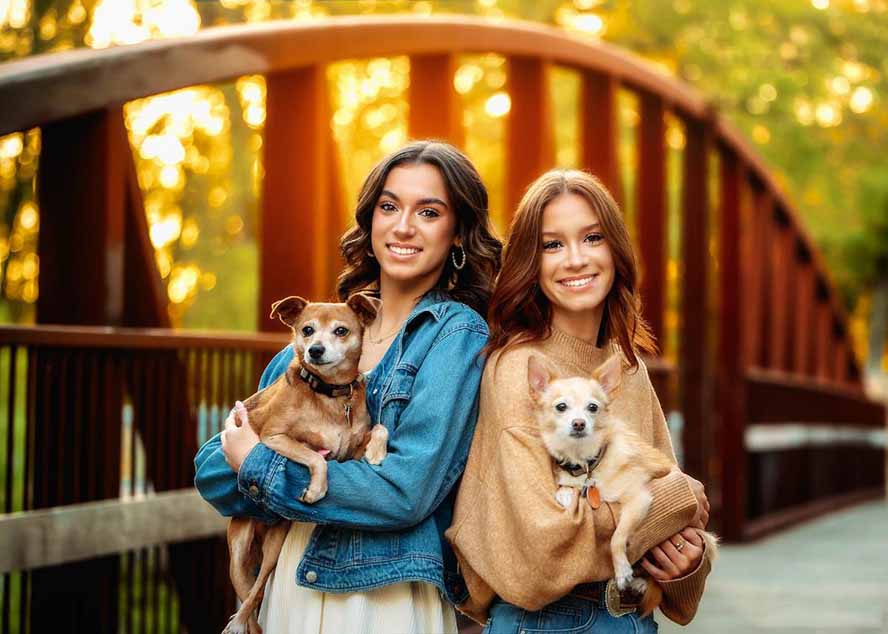 图片[2]-大师级GTG出品-老友记系列AI自适应预设The Friends Preset Collection-课程网