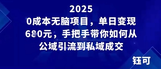 0成本无脑项目，单日变现多张，手把手带你如何从公域引流到私域成交-课程网