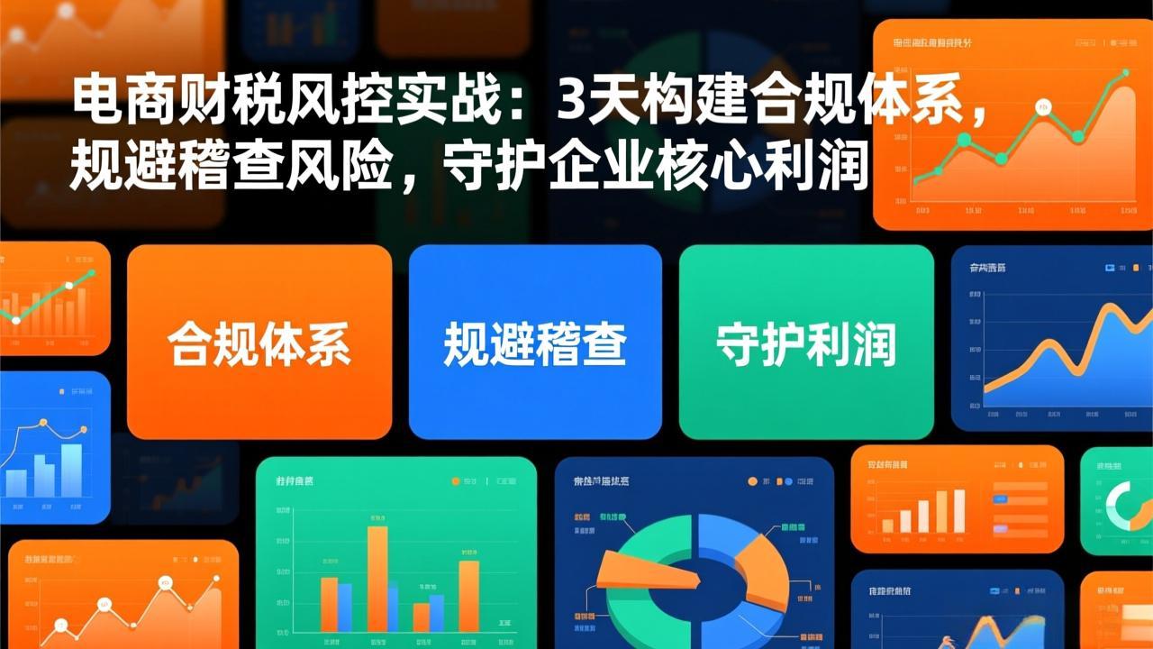 电商财税风控实战：3天构建合规体系，规避稽查风险，守护企业核心利润-课程网