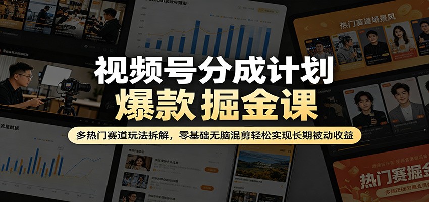 视频号分成计划爆款掘金课：多热门赛道玩法拆解，零基础无脑混剪轻松实现长期被动收益-课程网