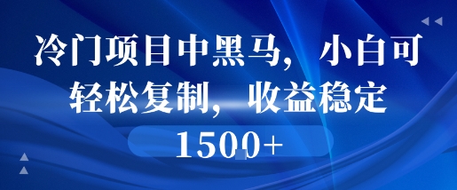 冷门项目中黑马，小白可轻松复制，收益稳定1.5k-课程网