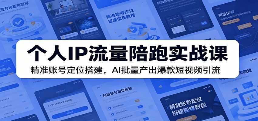 个人IP流量陪跑实战课：精准账号定位搭建，AI批量产出爆款短视频引流-课程网