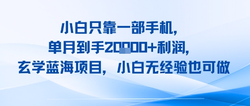 小白只靠一部手机，单月到手2W+利润，玄学蓝海项目，小白无经验也可做-课程网