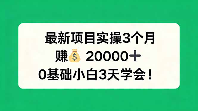 最新项目实操3个月，赚钱20000+，0基础小白3天学会！-课程网