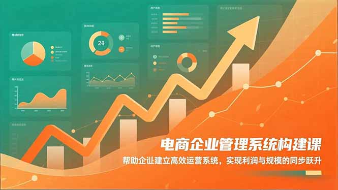 电商企业管理系统构建课：帮助企业建立高效运营系统，实现利润与规模的同步跃升-课程网