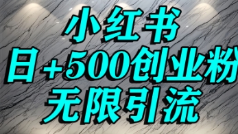 小红书无限引流创业粉，单人操作日引500+精准创业粉-课程网