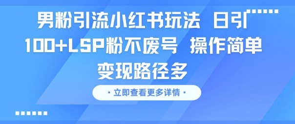 男粉引流小红书玩法，日引100+LSP粉不废号，操作简单，变现路径多-课程网