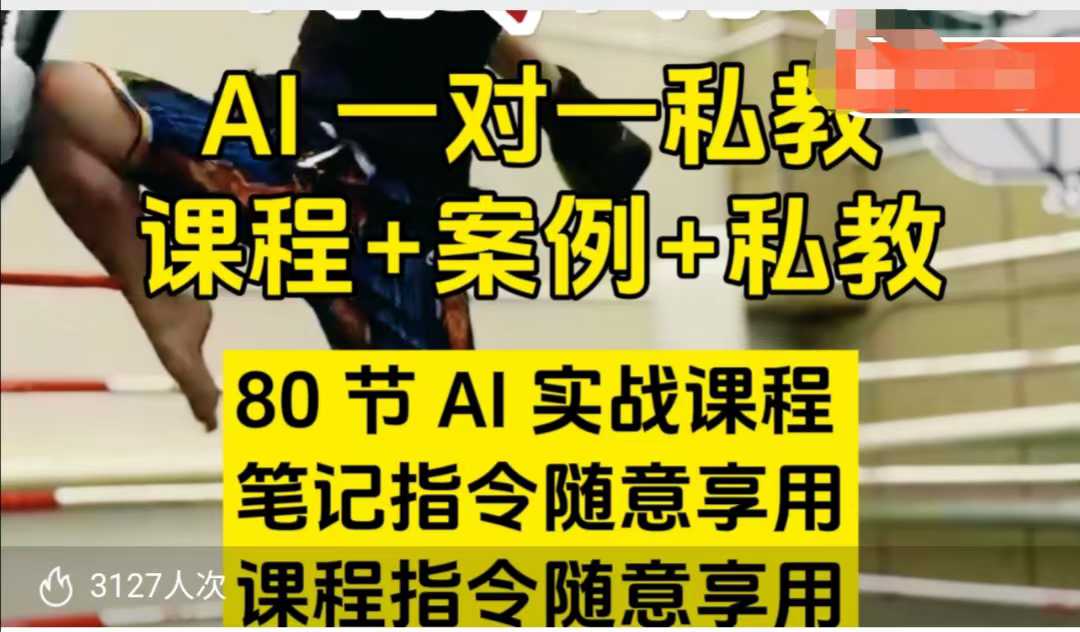 AI指令实战课，课程+案例，80节AI实战课程，笔记指令随意享用，课程指令随意享用（更新7月）-课程网
