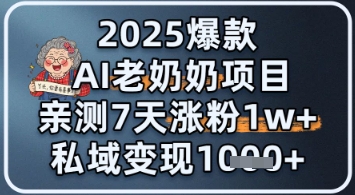 2025爆款 AI 老奶奶项目：亲测 7 天涨粉 1W+，私域变现 1k+-课程网