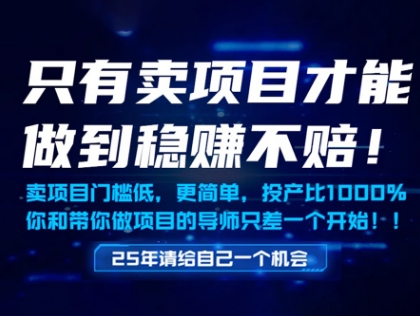 只有卖项目才能做到稳挣不赔，门槛低，更简单，你也可以年入百个W【揭秘】-课程网