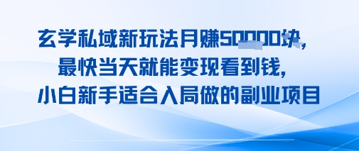 玄学私域新玩法月入1W+，最快当天就能变现看到米，小白新手适合入局做的副业项目-课程网