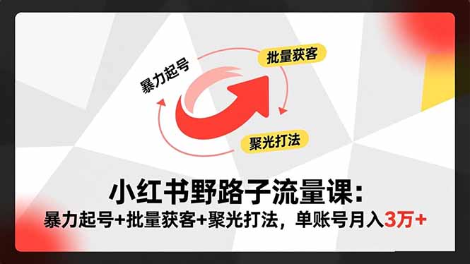 小红书野路子流量课：暴力起号+批量获客+聚光打法，单账号月入3万+-课程网