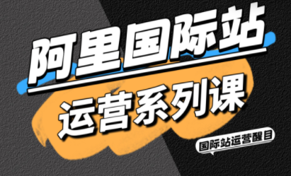 醒目老师·阿里国际站运营系列课(更新3月)-课程网