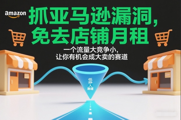 抓亚马逊漏洞，免去店铺月租，一个流量大竞争小，让你有机会成大卖的赛道-课程网