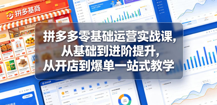 拼多多零基础运营实战课，从基础到进阶提升，从开店到爆单一站式教学-课程网