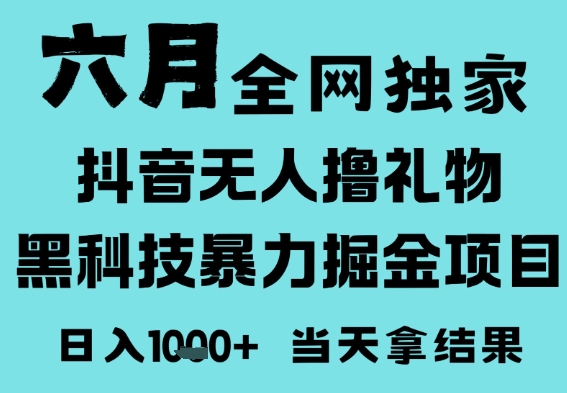 25年6月高爆抖音无人直播最新撸音浪掘金项目，门槛低小白可做，无脑日入1k，可矩阵放大【揭秘】-课程网