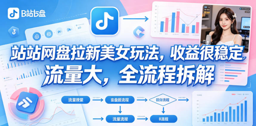 B站网盘拉新美女玩法，收益很稳定，流量大，全流程拆解-课程网