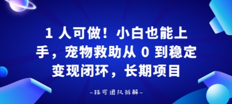 1人可做！小白也能上手，宠物救助从 0 到稳定变现闭环，长期项目-课程网