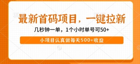 最新首码项目，操作最简单，收益高，一键拉新，1个小时单号可50+，小项目认真做每天5张+收益【揭秘】-课程网