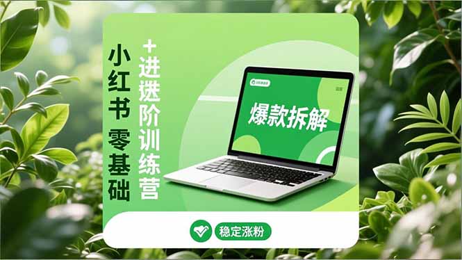 小红书零基础+高阶训练营：安全养号、爆款拆解、长效运营，实现稳定涨粉与变现-课程网