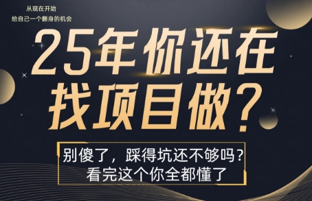 25年，你还在疯狂的找项目吗？别傻了，看完这个你都懂了【揭秘】-课程网