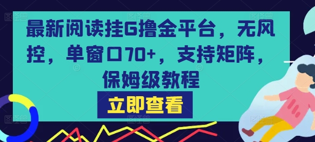最新阅读挂G撸金平台，无风控，单窗口70+，支持矩阵，保姆级教程【揭秘】-课程网