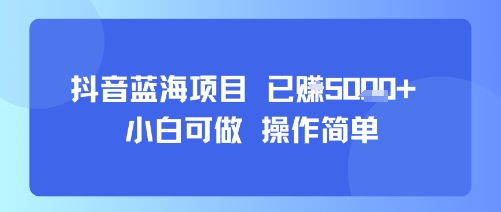 抖音蓝海项目，小白可做，操作简单，可批量制作，已挣5k+-课程网