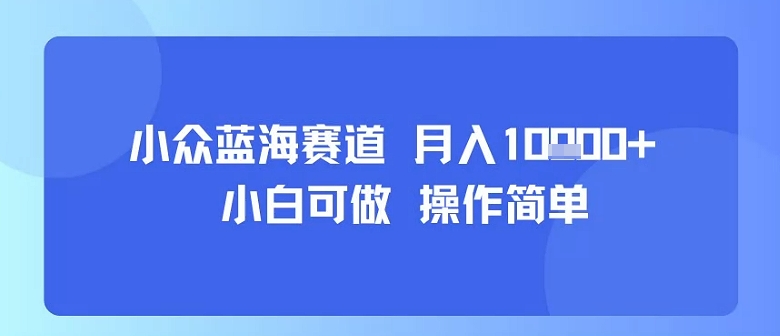 小众蓝海赛道，小白可做，操作简单，每天30分钟，月入1W+-课程网