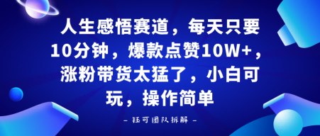 人生感悟赛道，每天只要十分钟，爆款点赞10W+，涨粉带货太猛了，小白可玩，操作简单-课程网
