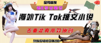 海外tiktok小说推文暴力项目，高停留率，高转化率，上手后一天搞顿饭钱不是问题-课程网