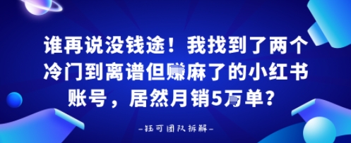 谁再说没钱途！我找到了两个冷门到离谱但賺麻了的小红书账号，居然月销5W单？-课程网
