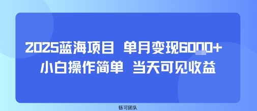2025蓝海项目 单月变现6k+ 小白操作简单 当天可见收益-课程网