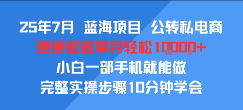 25年7月蓝海项目，公转私电商，随便做做单月轻松1w，小白一部手机就能做，完整实操步骤10分钟学会-课程网